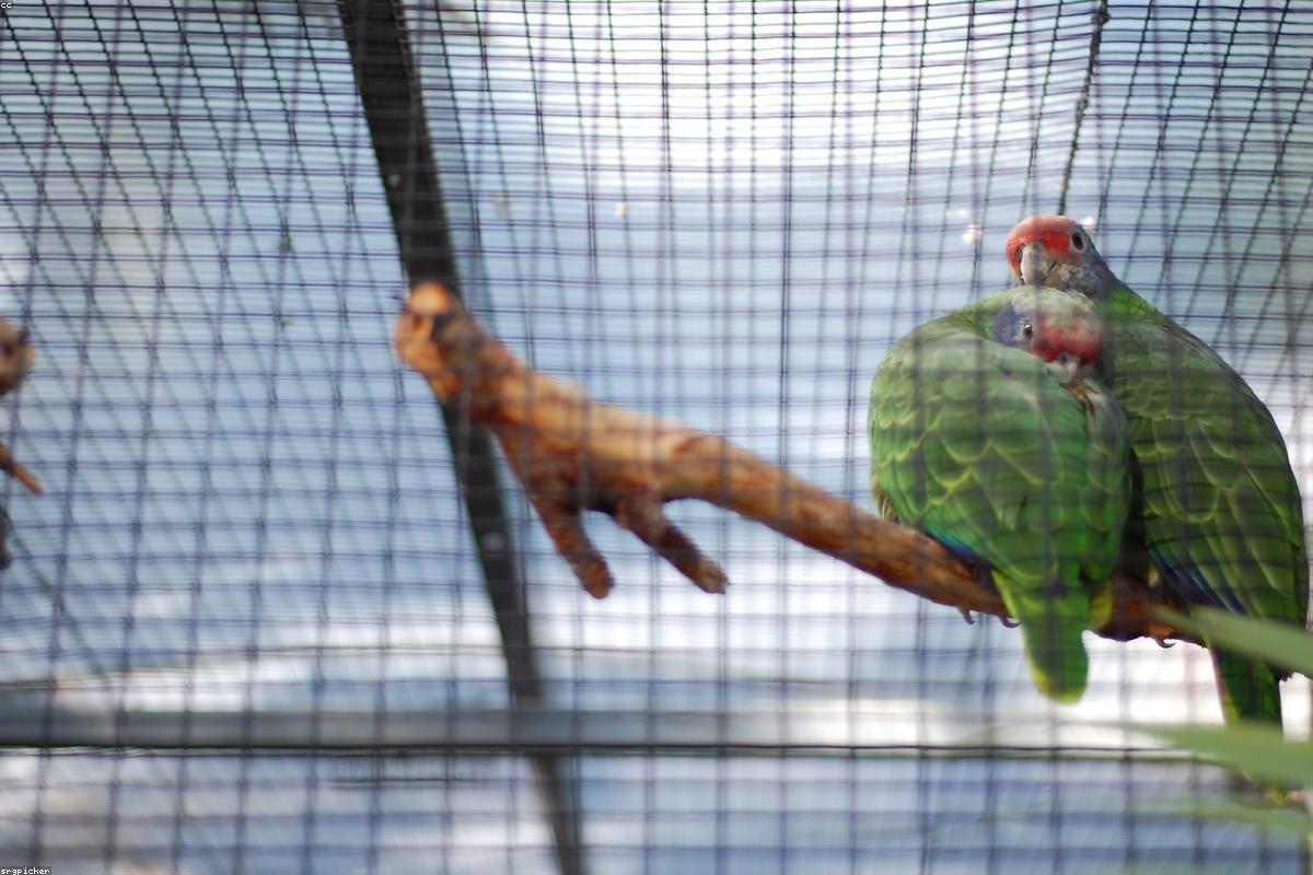 How to Initiate Intimacy Without Pressure: A Guide for Couples