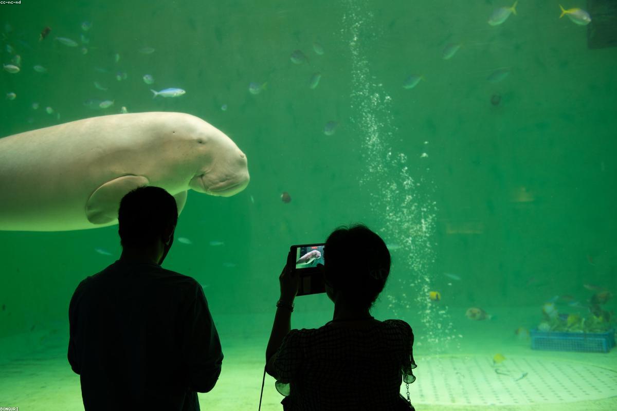 Non-Sexual Touch That Builds Sexual Connection Between Partners